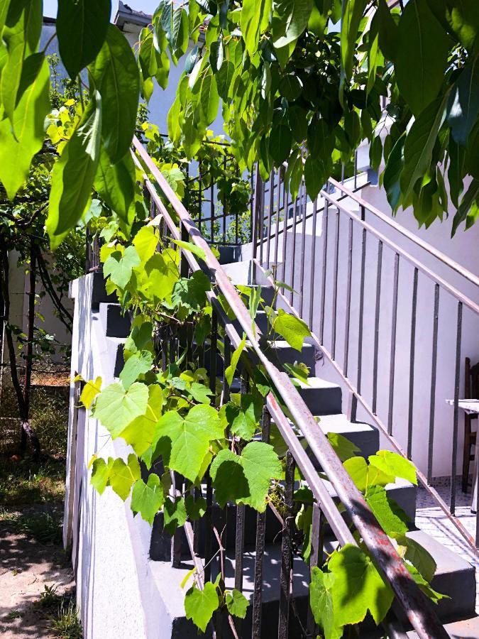 Renata Holiday Apartments Улцинь Екстер'єр фото