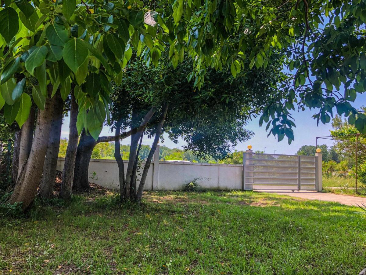 Renata Holiday Apartments Улцинь Екстер'єр фото